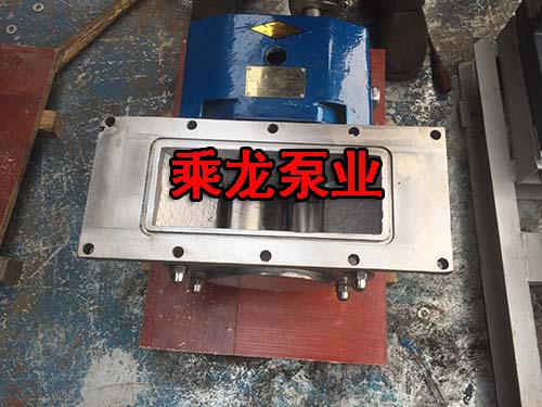 料斗式轉子泵衛生級